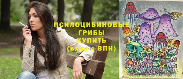 гашик Балабаново