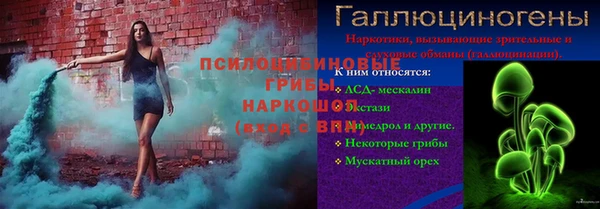 гашик Балабаново